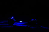 C-Series RGB Multi-Color Multi-Use LED 6-Light System - 5W Flood Beam - # 339