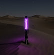 Purple LED Lighted Whip