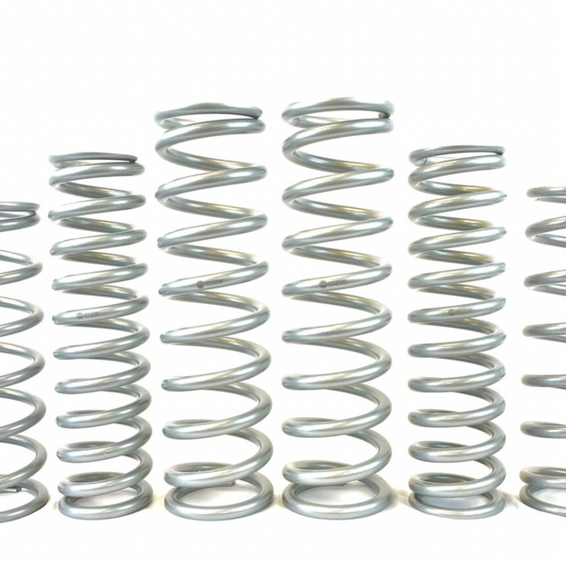 MTS Offroad Speed UTV Spring Kit