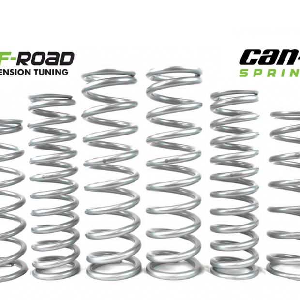 MTS Offroad Can-Am Maverick R Spring Kit