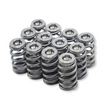 WSRD Terminator Valve Spring Kit | Can-Am X3 & Ski-Doo 900ACE