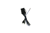 RZR® Ride Command Amplifier Harness + Remote | UTVS-RZR-RC-RCA-REM