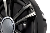 Signature Series  8