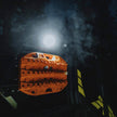 FLEX ERA® 1  - Light Shield - Clear - # 5329