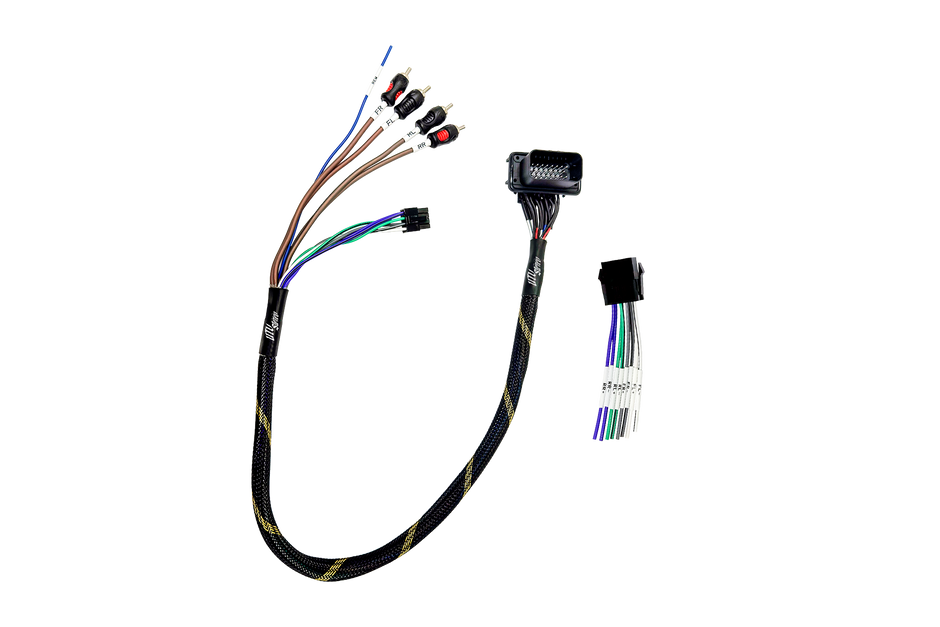 '20-'26 RZR® Pro Series Ride Command Front & Rear RCA Output + Speaker Wire & Remote | UTVS-PRO-RC-RCA-OUT